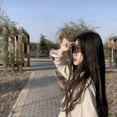 记忆旋木